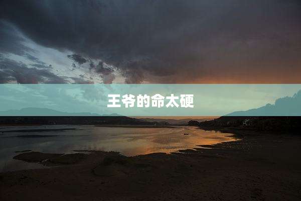 王爷的命太硬