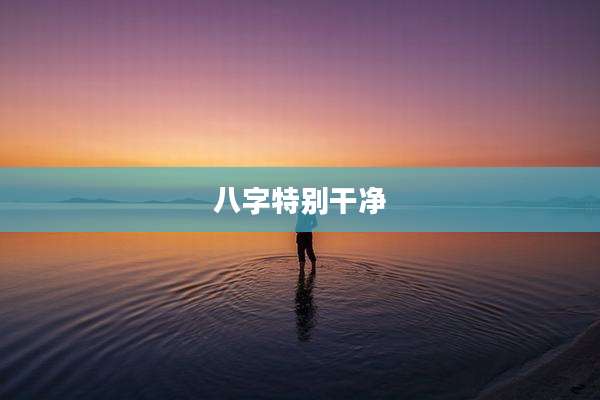 八字特别干净