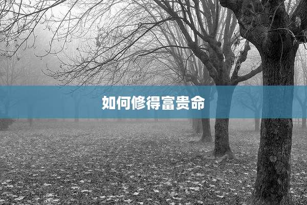 如何修得富贵命