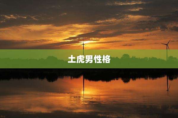 土虎男性格