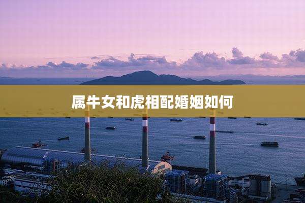 属牛女和虎相配婚姻如何
