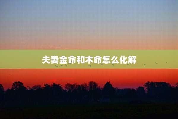 夫妻金命和木命怎么化解