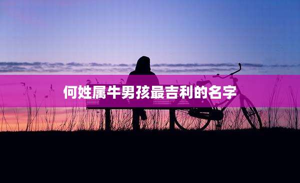 何姓属牛男孩最吉利的名字