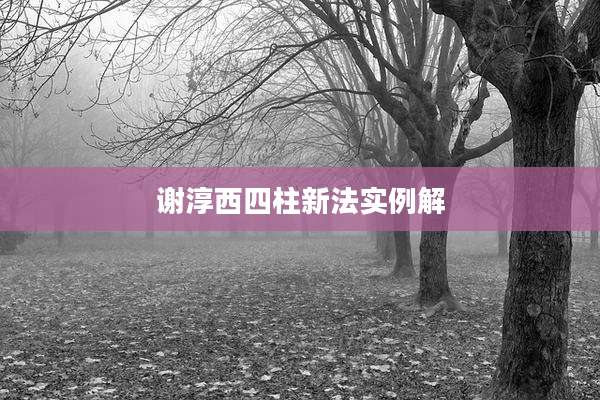 谢淳西四柱新法实例解