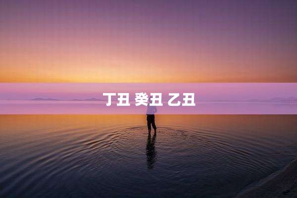丁丑 癸丑 乙丑