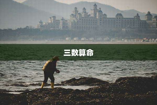 三数算命