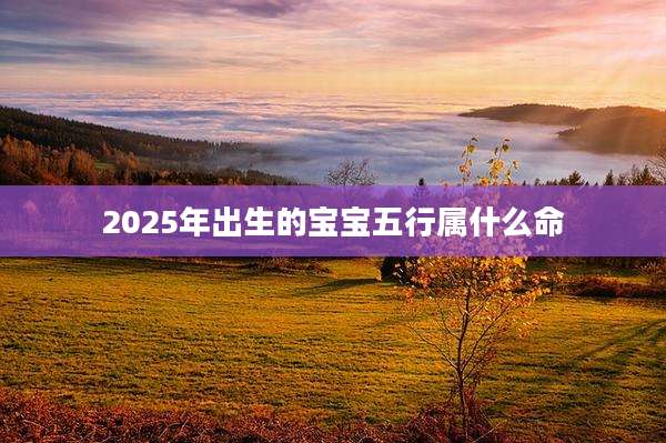 2025年出生的宝宝五行属什么命