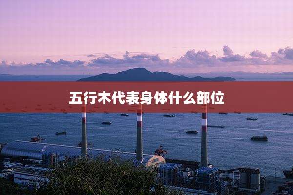 五行木代表身体什么部位