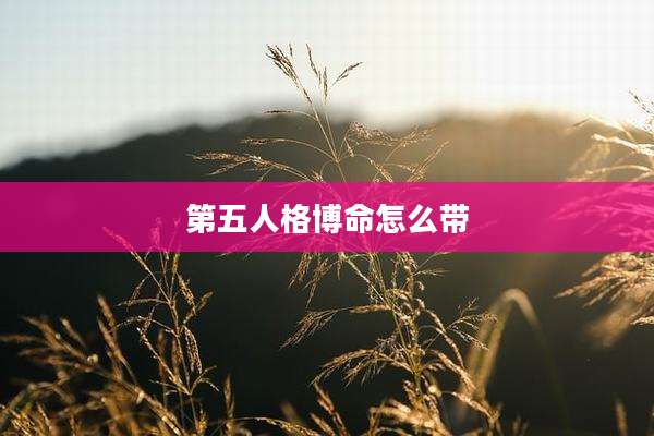 第五人格博命怎么带