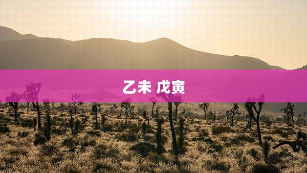 乙未 戊寅