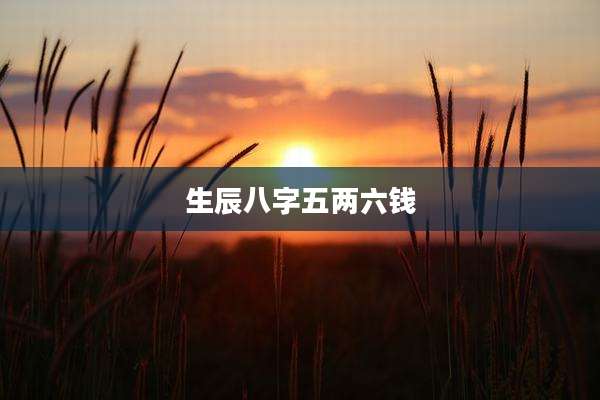 生辰八字五两六钱