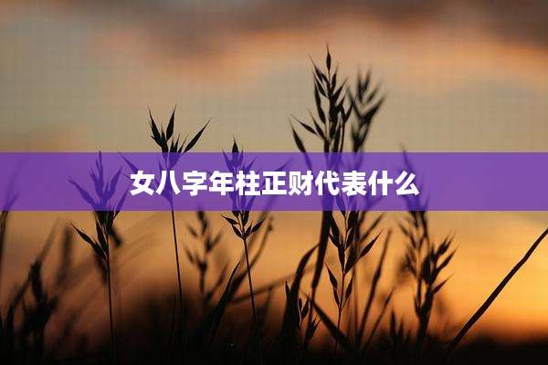 女八字年柱正财代表什么