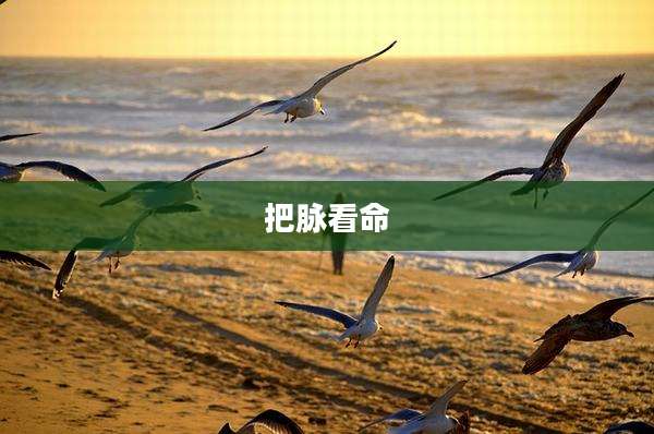 把脉看命