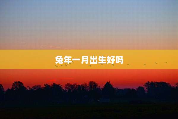 兔年一月出生好吗