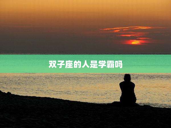 双子座的人是学霸吗