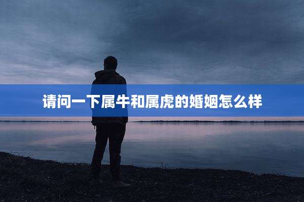 请问一下属牛和属虎的婚姻怎么样
