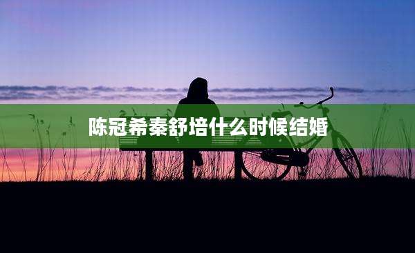 陈冠希秦舒培什么时候结婚