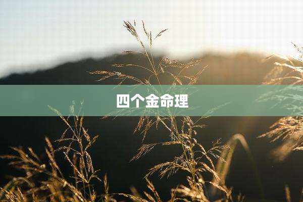 四个金命理
