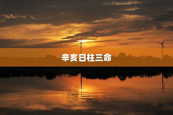 辛亥日柱三命