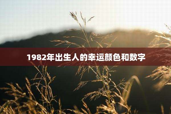 1982年出生人的幸运颜色和数字