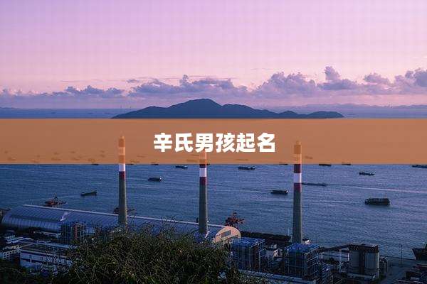辛氏男孩起名