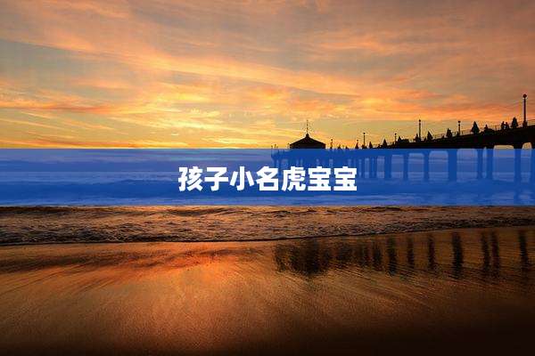 孩子小名虎宝宝