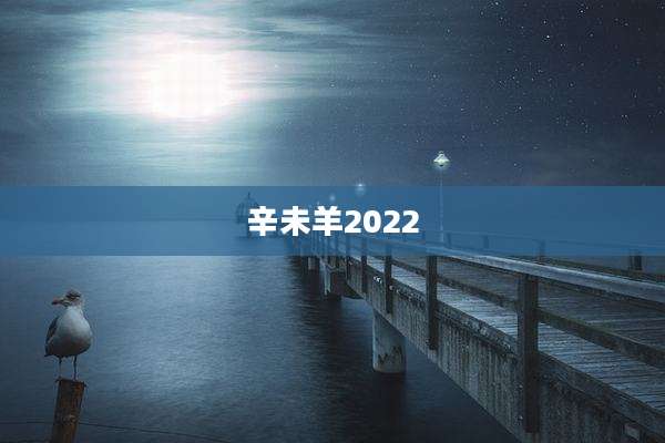辛未羊2022