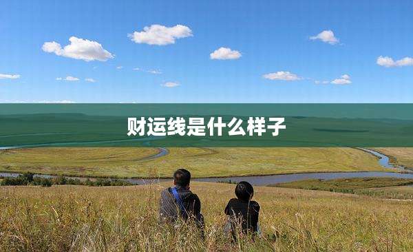 财运线是什么样子