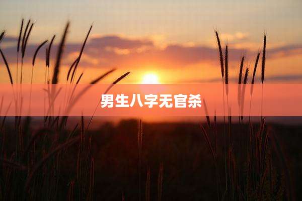 男生八字无官杀