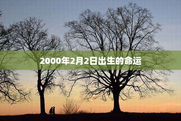 2000年2月2日出生的命运