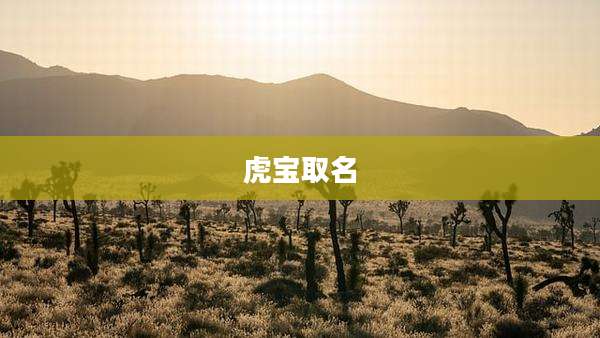 虎宝取名