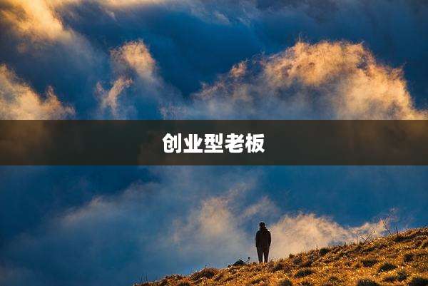 创业型老板