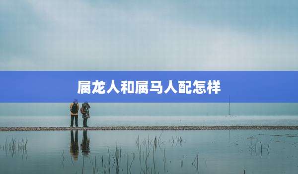属龙人和属马人配怎样