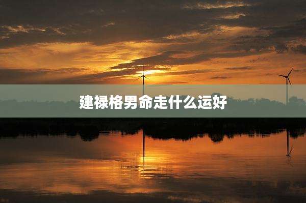建禄格男命走什么运好