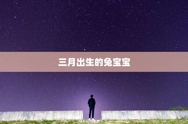 三月出生的兔宝宝
