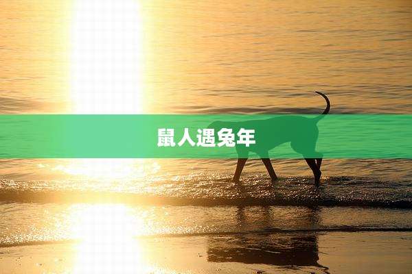 鼠人遇兔年