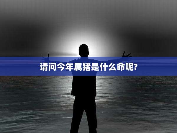 请问今年属猪是什么命呢?