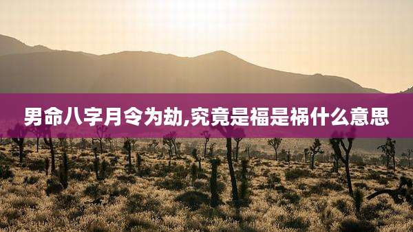 男命八字月令为劫,究竟是福是祸什么意思