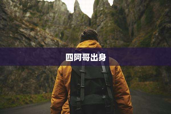 四阿哥出身