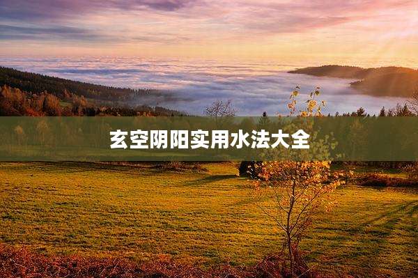 玄空阴阳实用水法大全