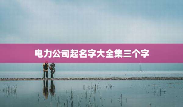 电力公司起名字大全集三个字
