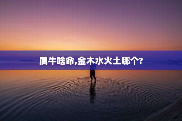 属牛啥命,金木水火土哪个?