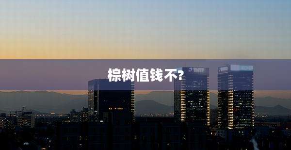 棕树值钱不?