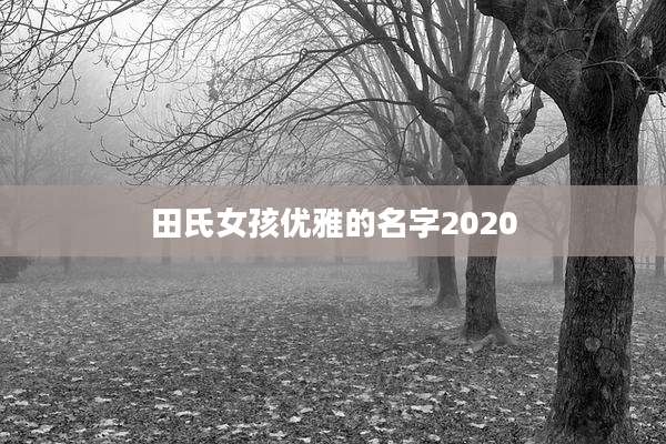 田氏女孩优雅的名字2020