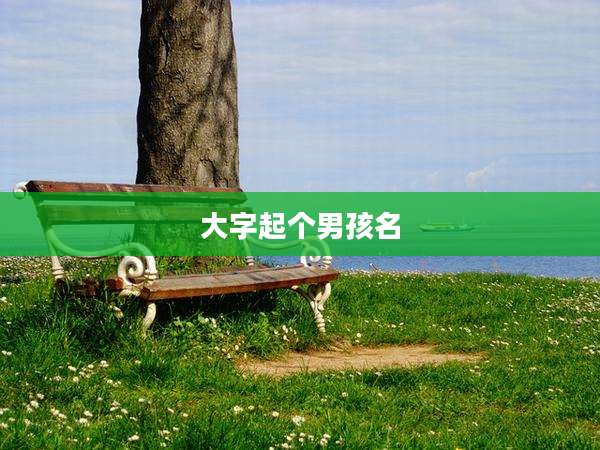 大字起个男孩名
