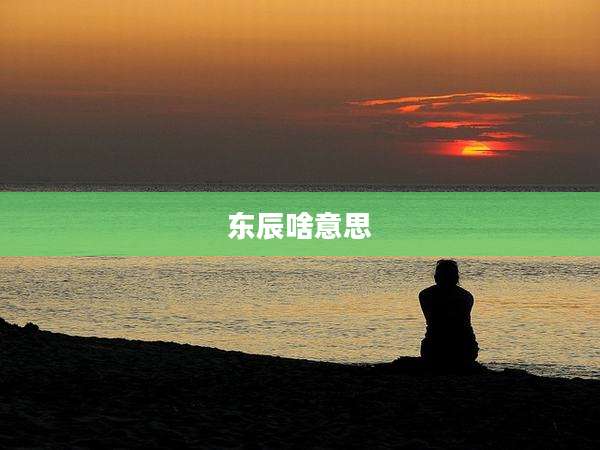 东辰啥意思