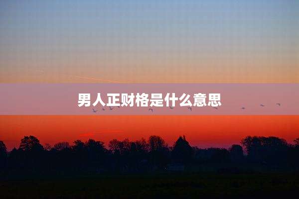 男人正财格是什么意思