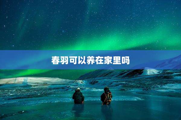 春羽可以养在家里吗