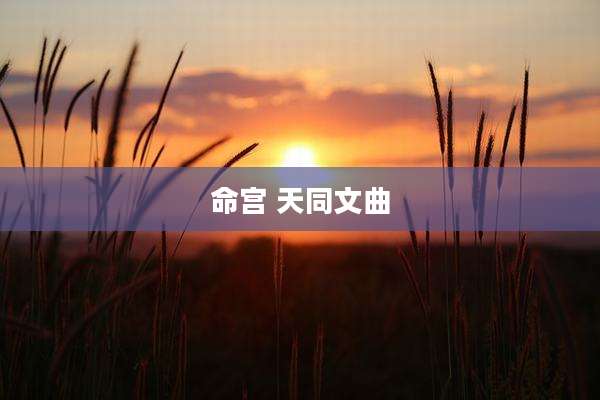 命宫 天同文曲