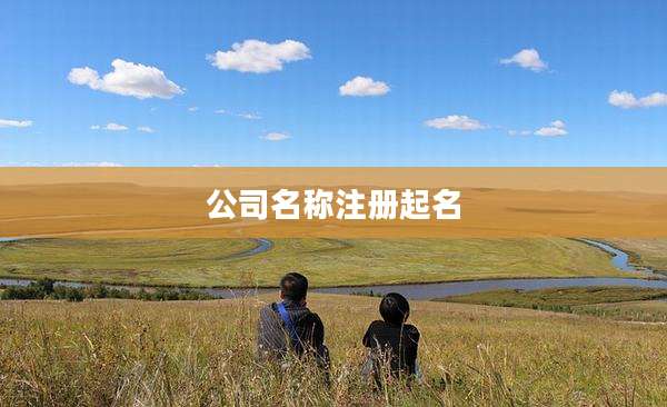 公司名称注册起名